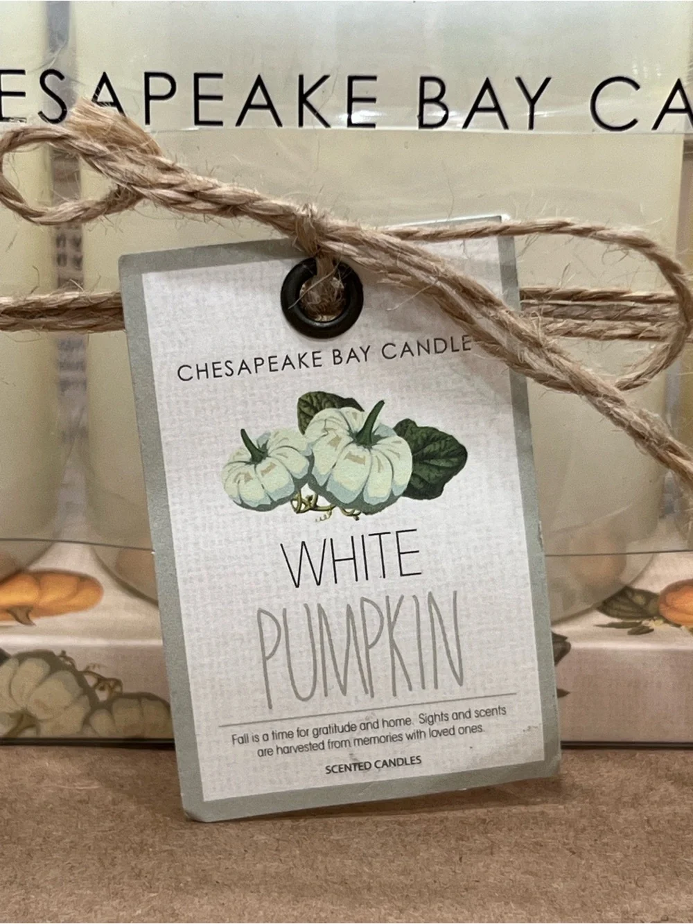 Set of 3 - 3x3 Pillar Candle White Pumpkin Scented Fall Thanksgiving